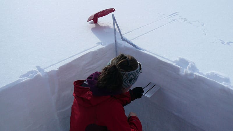 AIARE Level 2 Avalanche Course