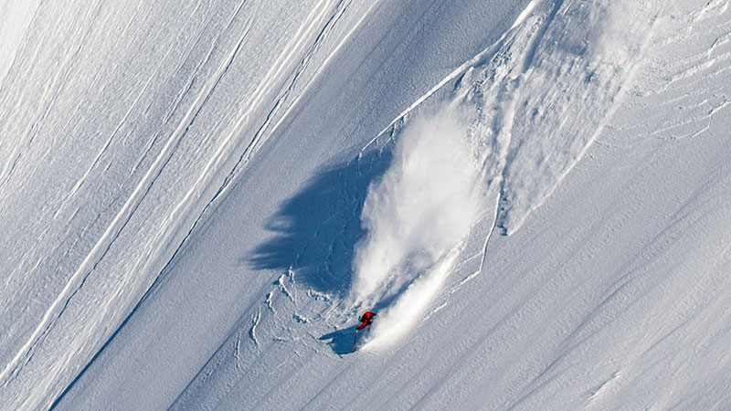 Backcountry Skiing Pro Course