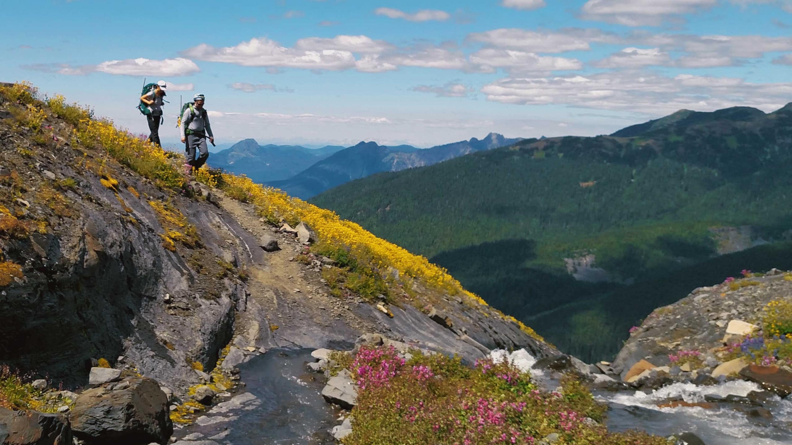 Intro to Mountaineering Course
